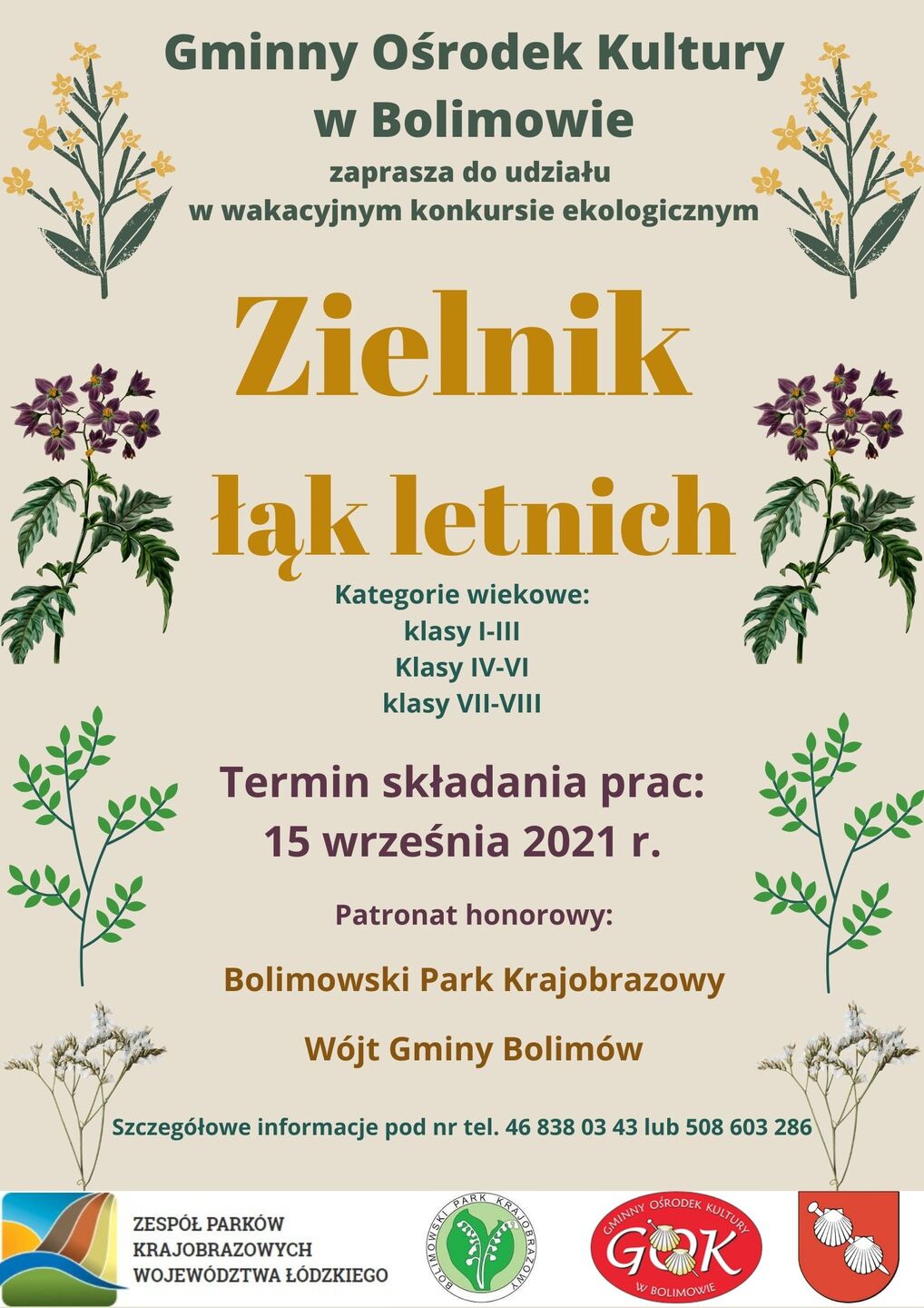 Zielnik łąk letnich