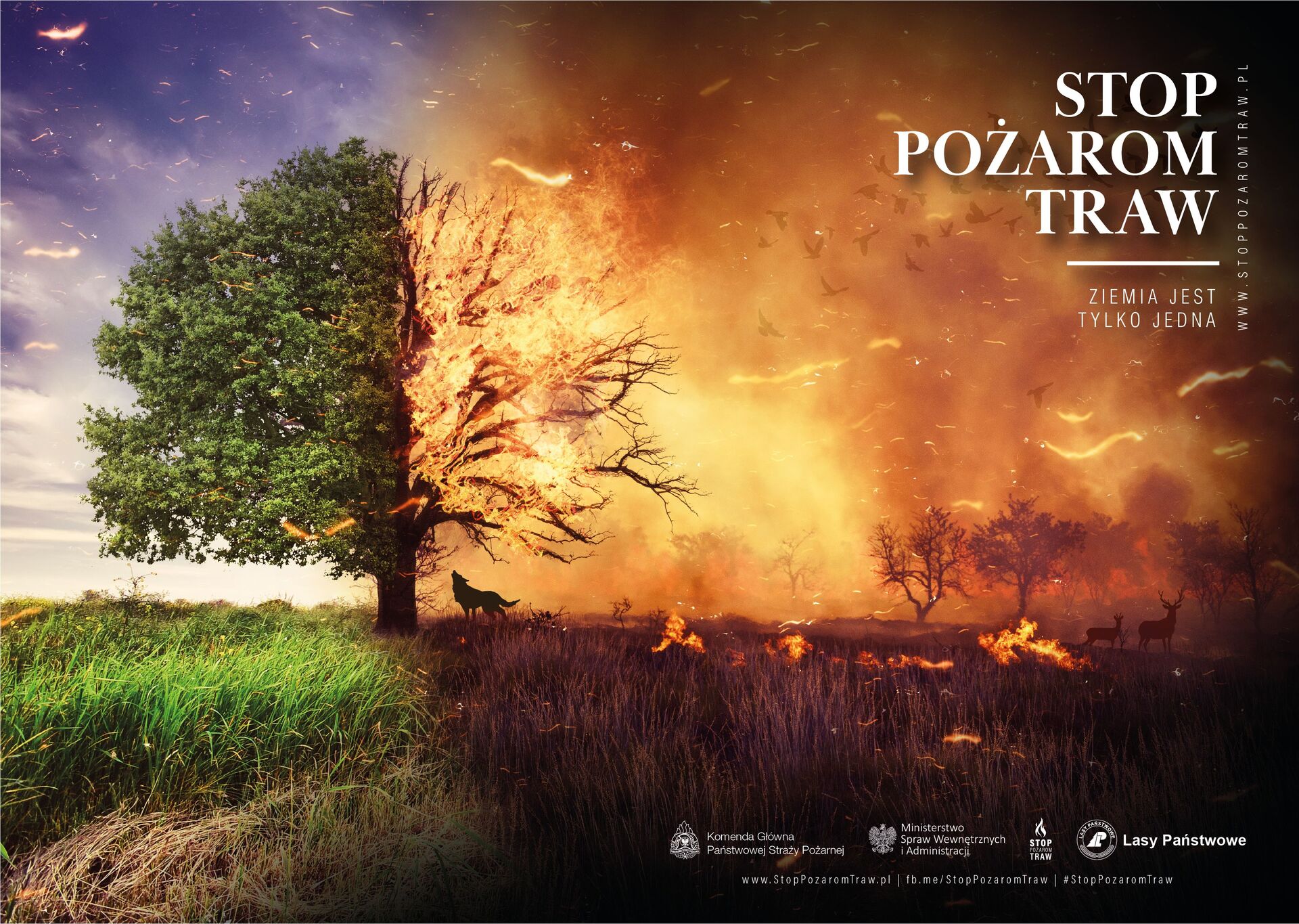 Stop pożarom