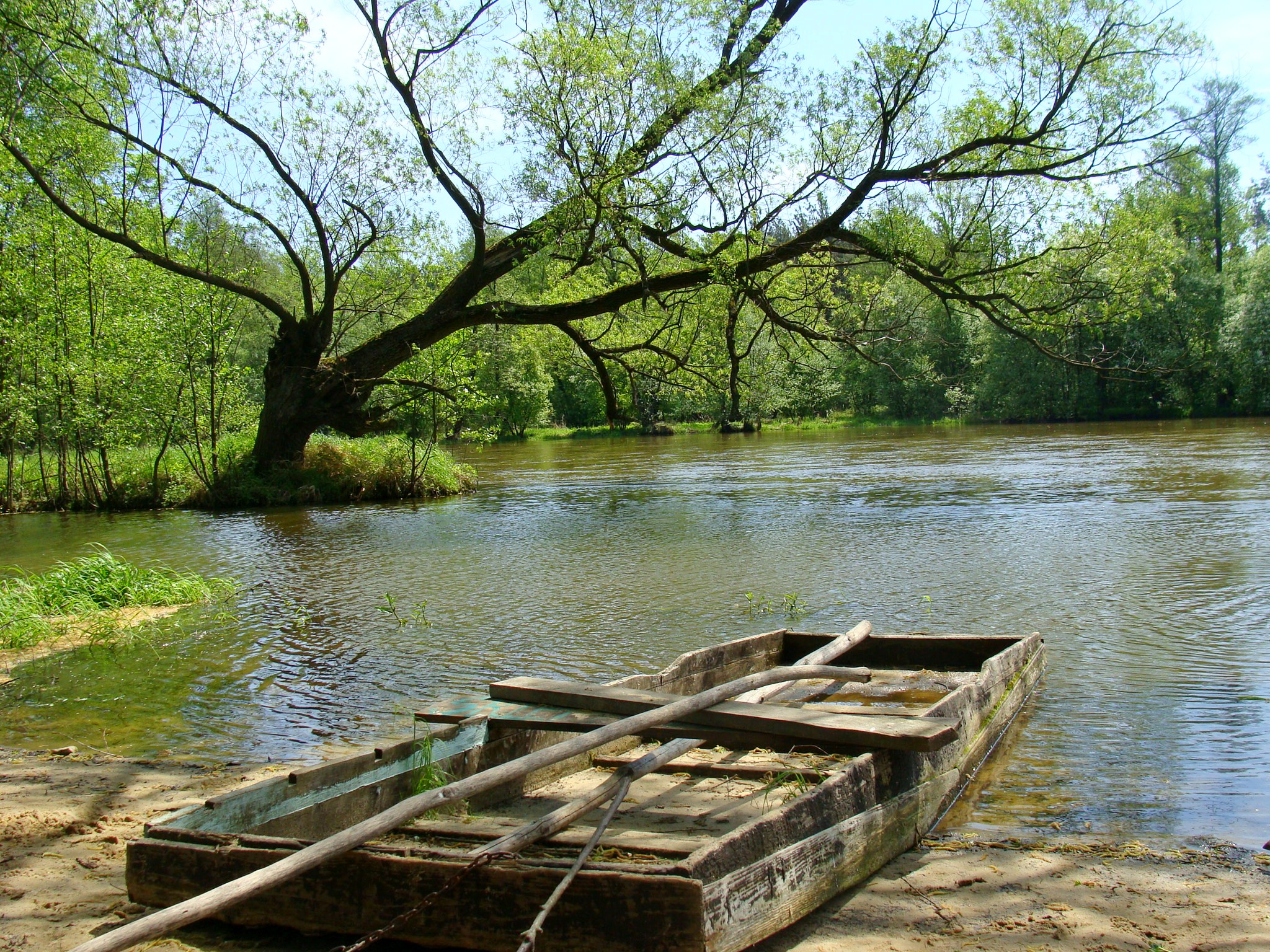 Warta w Bobrownikach E. Fraszczyńska