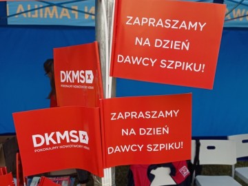 Doroczny piknik OSP w Michałowie, 