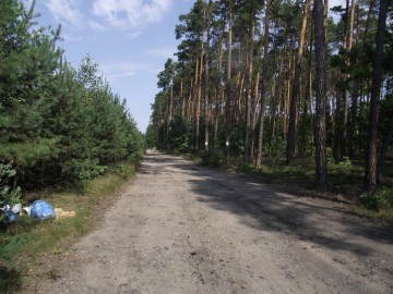 Lato, odpoczynek i ... śmieci!, A. Pruszkowska