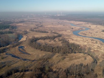 Łąki Ciebłowickie w Spalskim Parku Krajobrazowym, <p>Fot. Piotr Wypych</p>