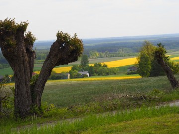 Nieustające piękno - dzień krajobrazu, 