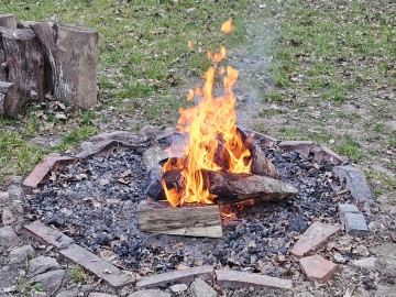 Noc sów w Moszczenicy - 2026, 