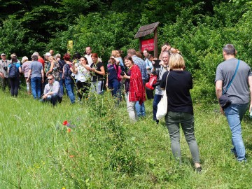 Ogólnopolska Konferencja Ogrodów Botanicznych i Arboretów - Rogów 2023, 