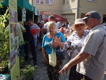 ZPKWŁ na Dniach Przedborza, 