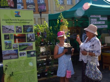 ZPKWŁ na Dniach Przedborza, 