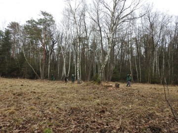 Ochrona czercikęsika Kluka w Spalskiem PK - etap II, 