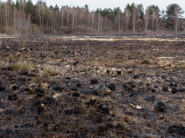 Patrol straży PPK z Państwową Strażą Łowiecką w Łodzi, wiosna 2026., 