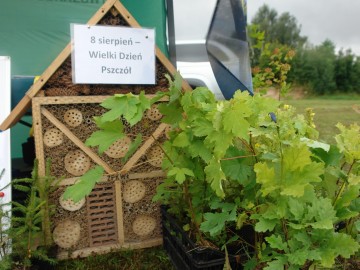 Piknik rodzinny w Wielgomłynach., 