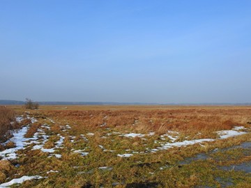 Przedwiośnie w Spalskim PK, <p>Błota Brudzewickie. Fot. Szymon Kielan</p>