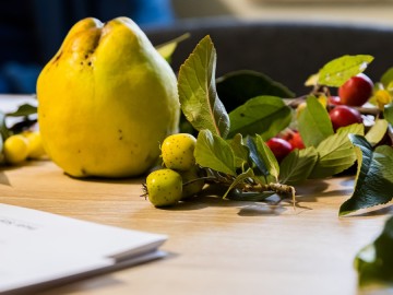 Szkolenie sadownicze w Przedborskim Parku Krajobrazowym 2025, 