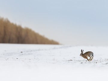 Zimowe obrazy w PPK 2026., 