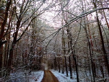 Uroczysko Tadzin-Szymaniszki, <p>fot. Mateusz Starnowski</p>