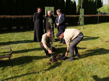 Sad w Zgierzu w ramach projektu Owoce Pamięci, 