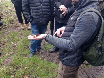 Wiosenny spacer mykologiczny po Lesie Łagiewnickim - liście zarażone rdzą, 