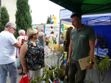 Piknik w Sędziejowicach, 