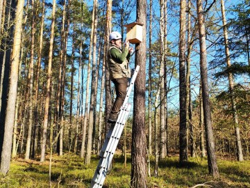 Czyszczenie budek lęgowych w naszych parkach, 