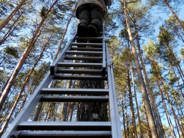 Czyszczenie budek lęgowych w naszych parkach, 