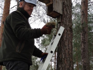 Czyszczenie budek lęgowych w naszych parkach, 