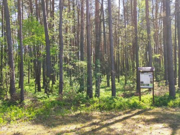 Odnowienie ścieżki dydaktycznej Wokół rezerwatu Hołda, <p>K. Kierniakiewicz</p>