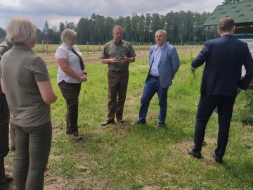 Owoce Pamięci w Nadleśnictwie Złoczew, 