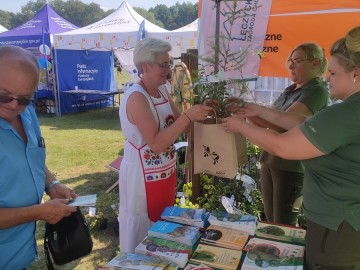 Piknik województwa łódzkiego w Ostrówku, 