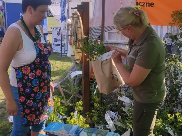 Piknik województwa łódzkiego w Ostrówku, 