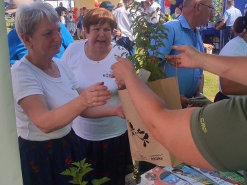 Piknik województwa łódzkiego w Ostrówku, 