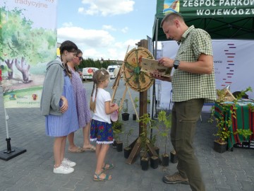 Piknik Rodzinny w Wieluniu, 