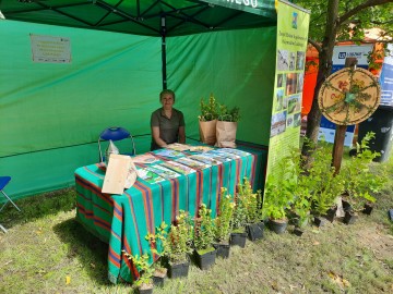 Piknik Rodzinny w Zadzimiu, 