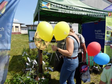 Piknik w Rząśni, 