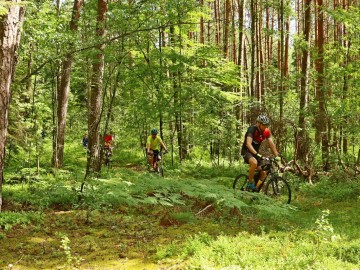 Rajd Rowerem nad Wartą - wiosna 2024, 