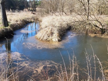 8.Załęczański Park Krajobrazowy i okolice – Warta oraz jej dopływy, <p>K. Kierniakiewicz</p>