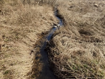 10.Załęczański Park Krajobrazowy i okolice – Warta oraz jej dopływy, <p>K. Kierniakiewicz</p>